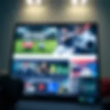 Overview of the website layout and features