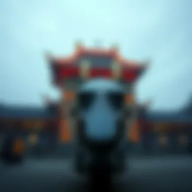 Magnificent 농구 베팅: 이해와 전략