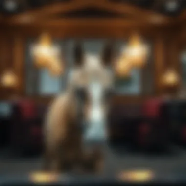 Magnificent 스포츠 베팅의 모든 것 Magnificent 스포츠 베팅의 모든 것