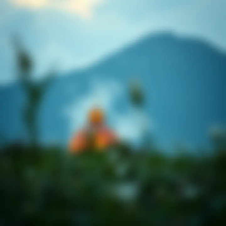 Magnificent 토토 보증사이트에 대한 포괄적 이해