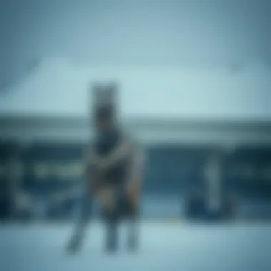 Magnificent 영국 최고의 카지노 탐색 Magnificent 영국 최고의 카지노 탐색