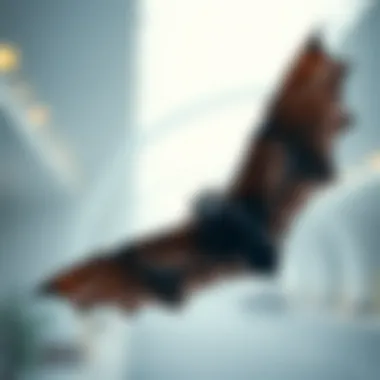 Notable bat365에 대한 종합 분석 Notable bat365에 대한 종합 분석