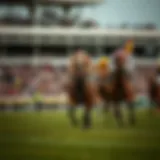 Historical overview of the Gold Cup