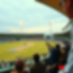 Live cricket match view