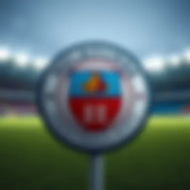 Melbourne City Football Team Logo