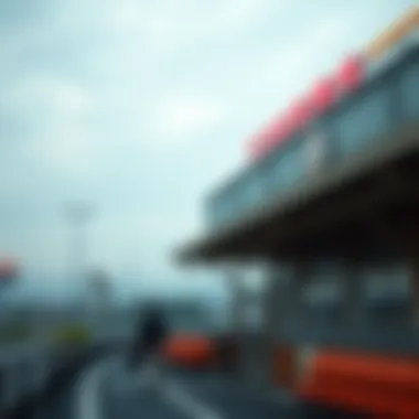 Historical overview of Niigata Albirex