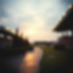 온라인 라이브 카지노: 이해와 활용 Introduction