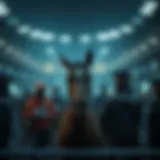 스코틀랜드 대 짐바브웨: 스포츠 역사와 배경 Introduction