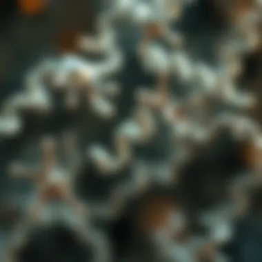 Visual representation of ATP's biological function